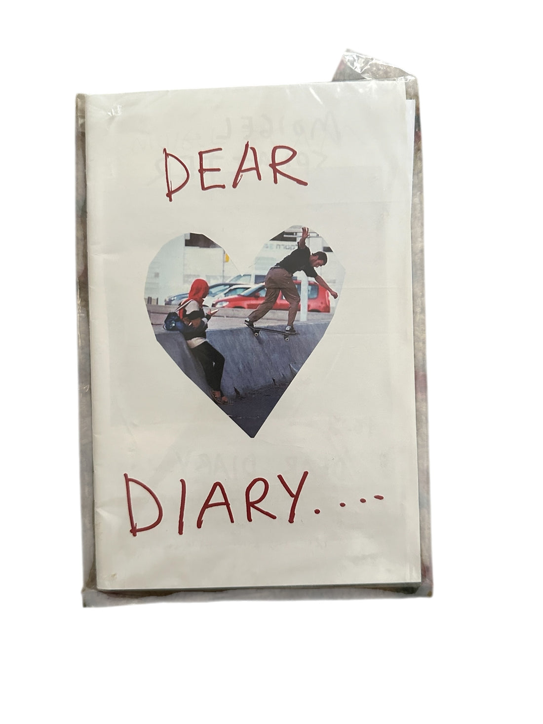 Anti Hero dear diary